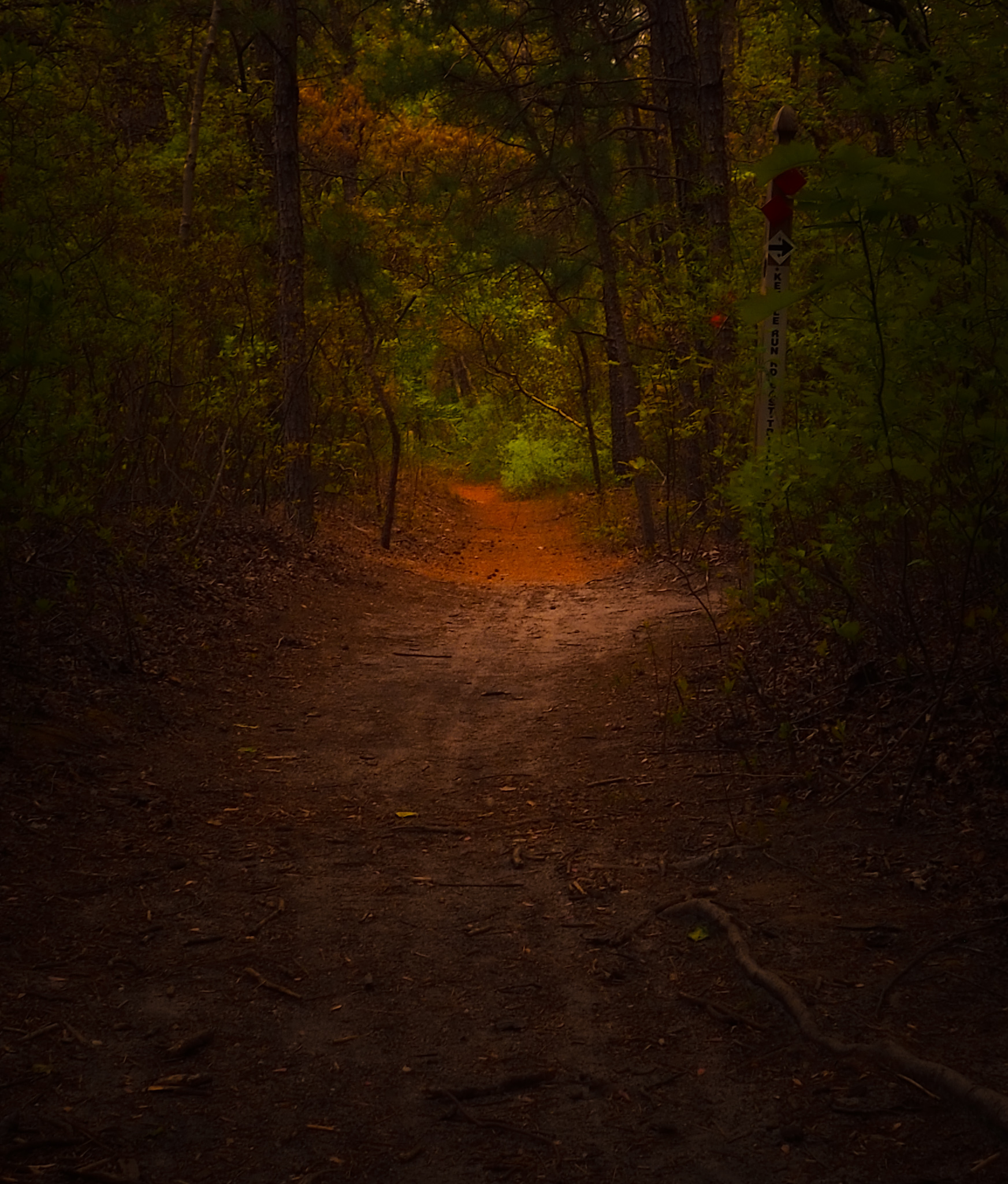 Black Run Preserve